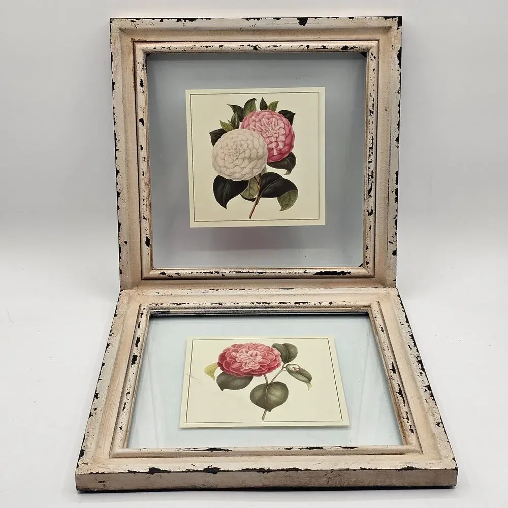 Set Of 2 Botanical Floral Prints Distressed Shabby Chic Camellia Framed Art